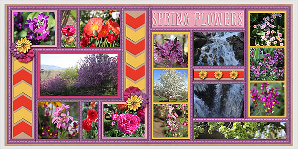 Spring Flowers