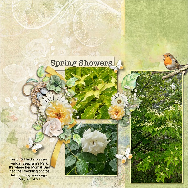 Spring Flowers