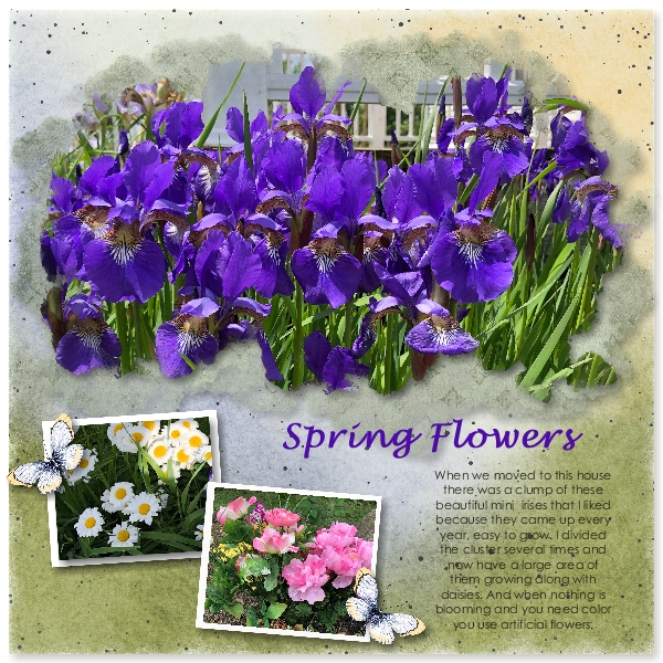 Spring Flowers