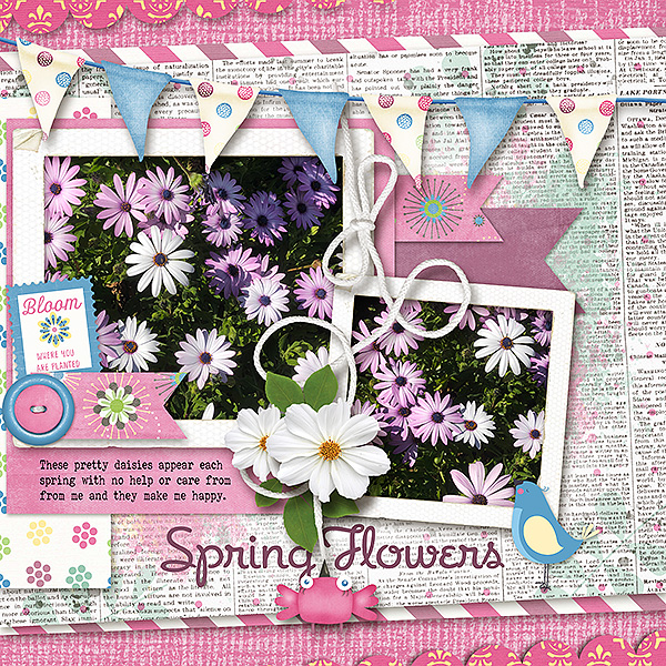 Spring Flowers