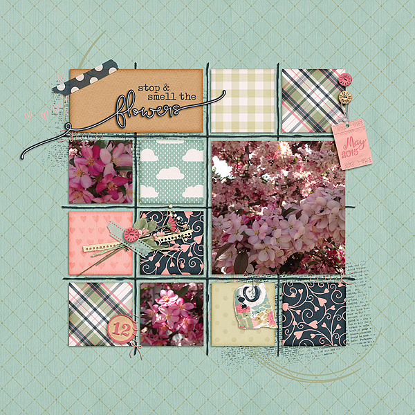 Spring Flowers