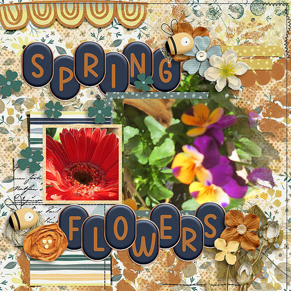Spring Flowers