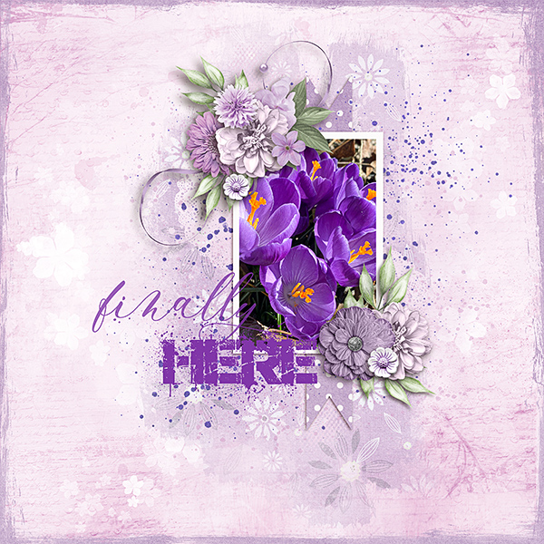 Spring-Flowers