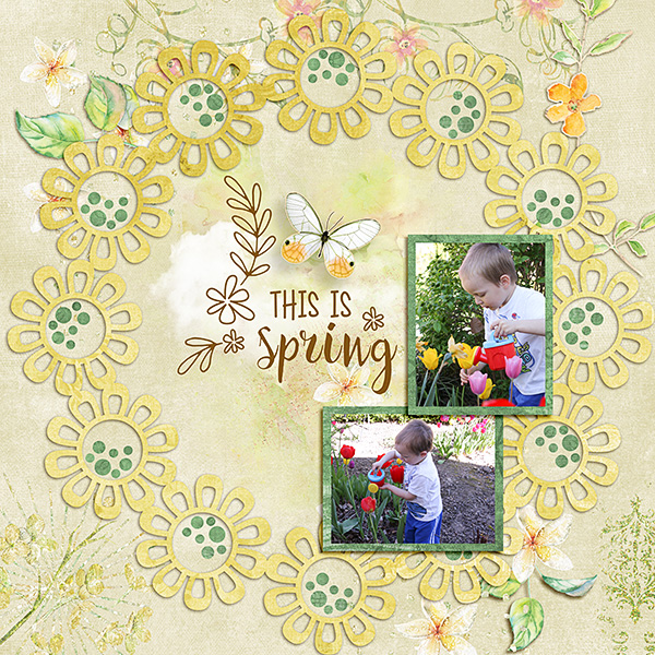 Spring-Flowers