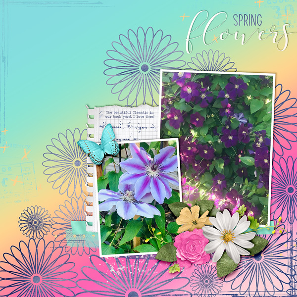 ~Spring Flowers~