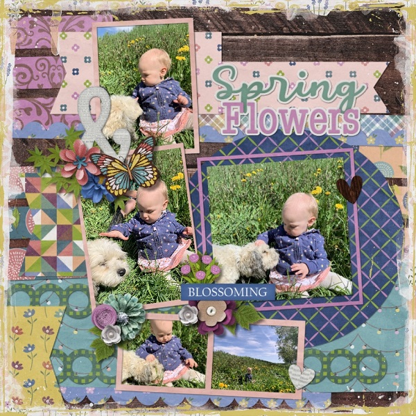 Spring Flowers