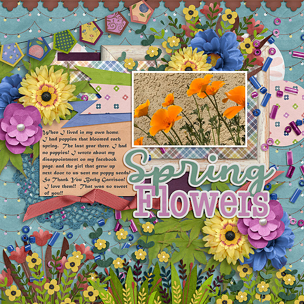 Spring Flowers
