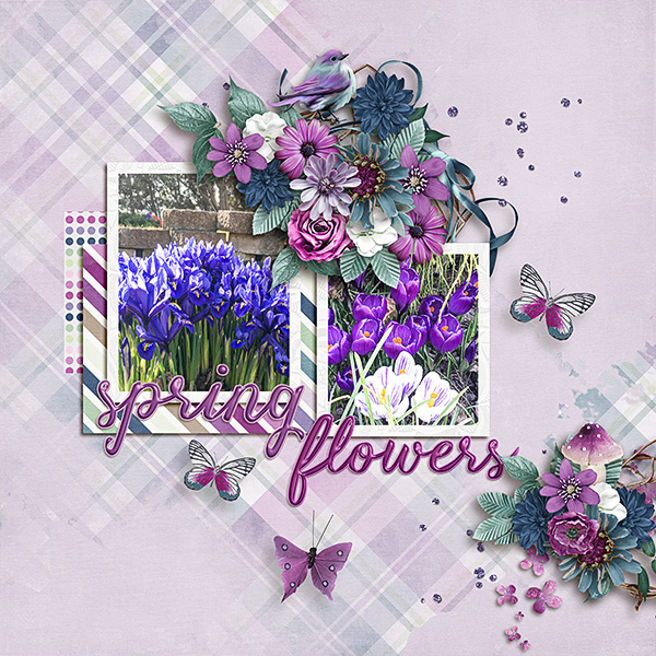 Spring-Flowers