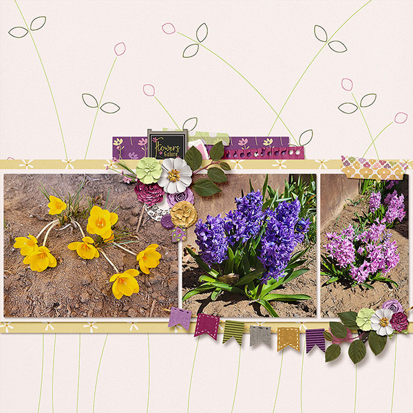 Spring Flowers