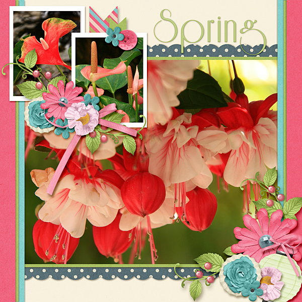 Spring Flowers
