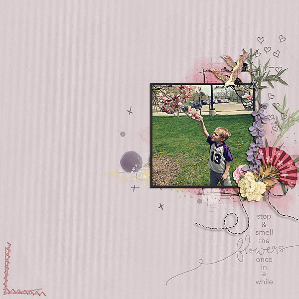 Spring Flowers