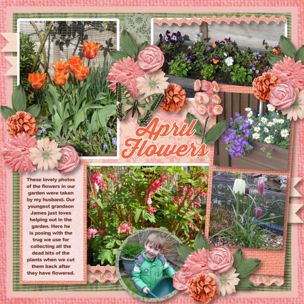 Spring Flowers