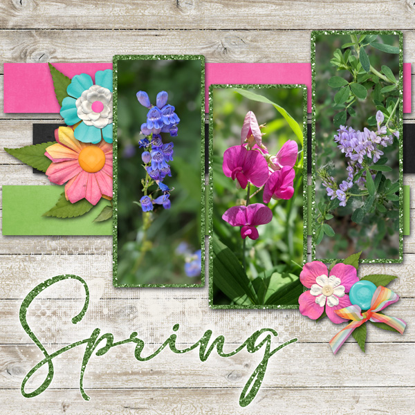 Spring flowers