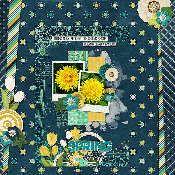 Spring Flowers