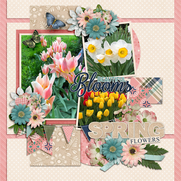 Spring Flowers