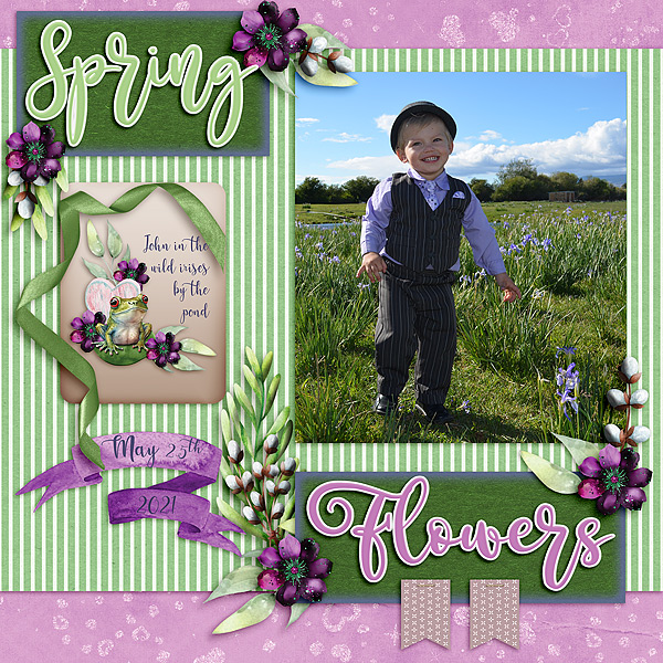 Spring Flowers