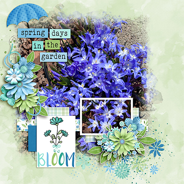 Spring-Flowers