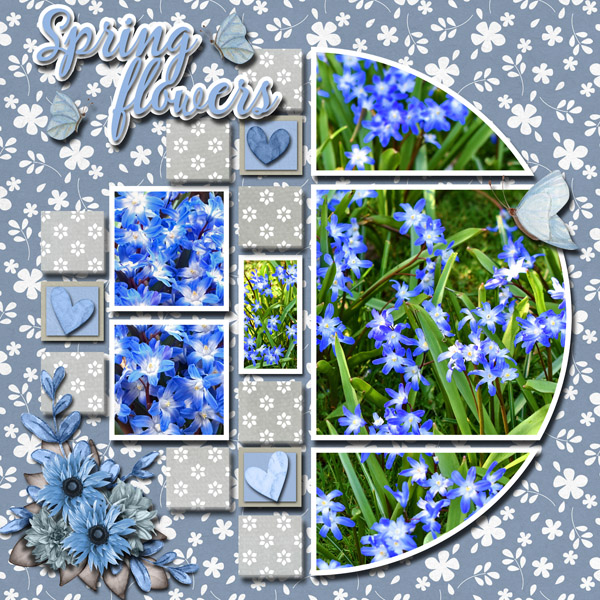 Spring Flowers