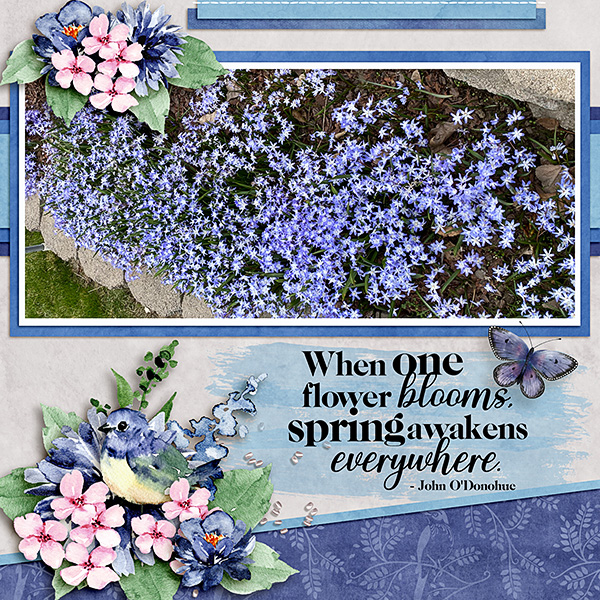 Spring-Flowers