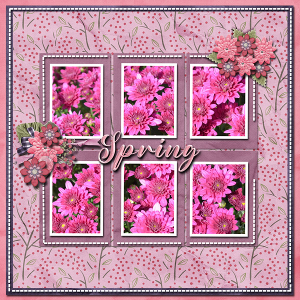 Spring Flowers