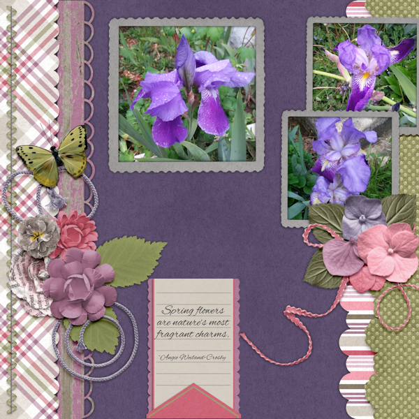 Spring Flowers