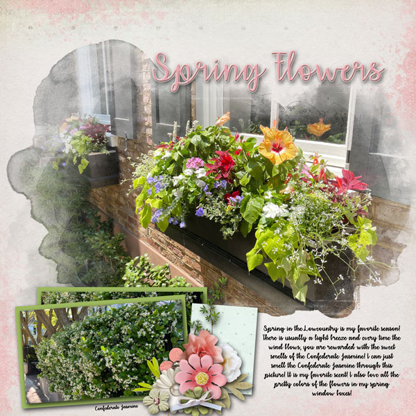 Spring Flowers
