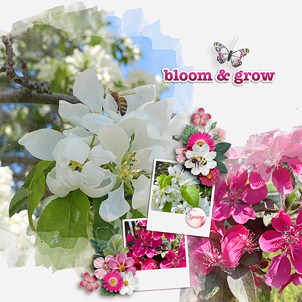 Spring-Flowers