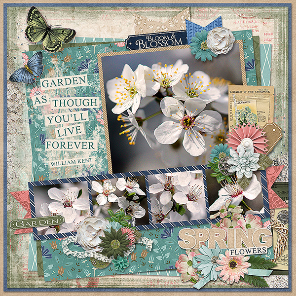 Spring Flowers
