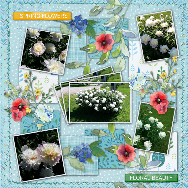 Spring Flowers