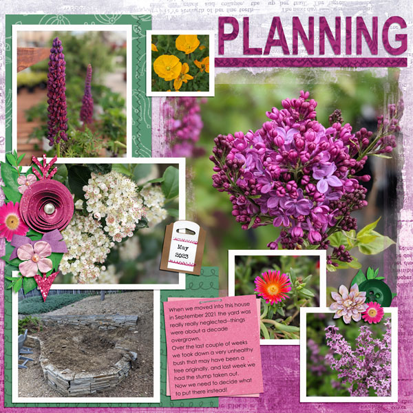 spring flowers