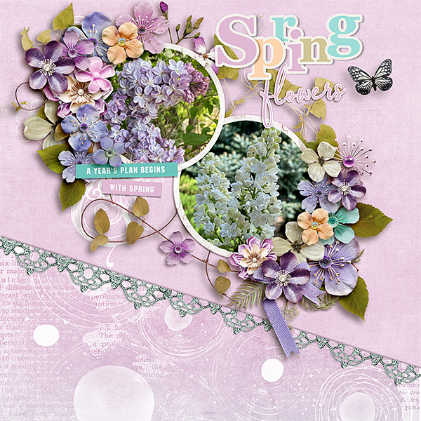 Spring-Flowers