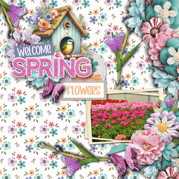 Spring Flowers