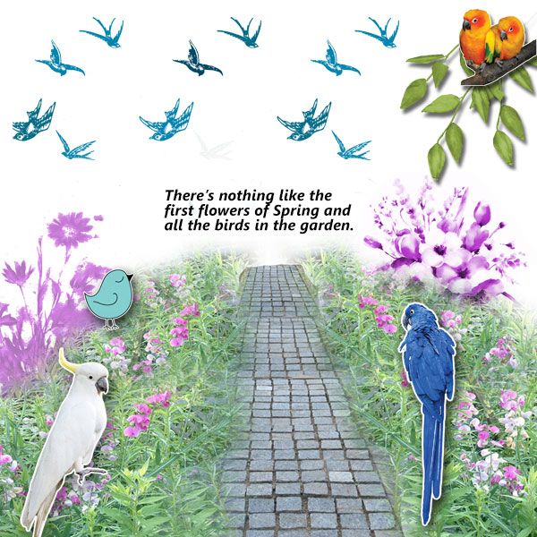 Spring Flowers