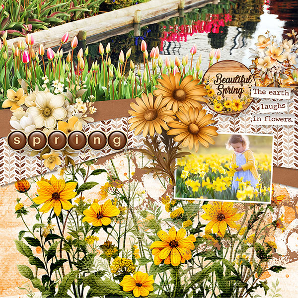 Spring Flowers