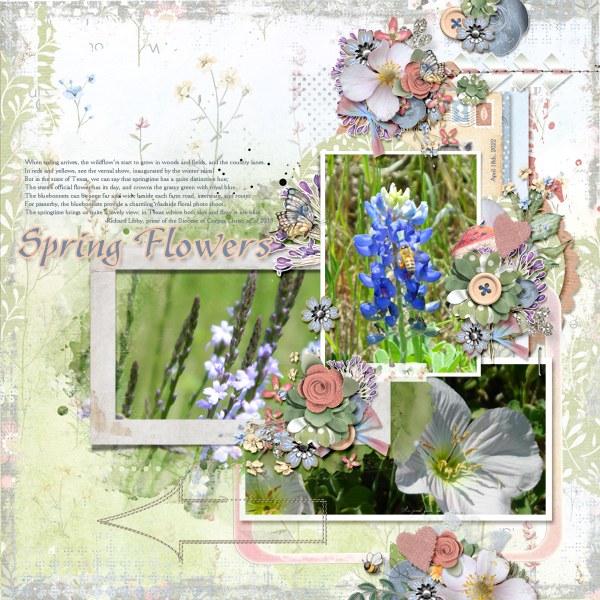 Spring Flowers