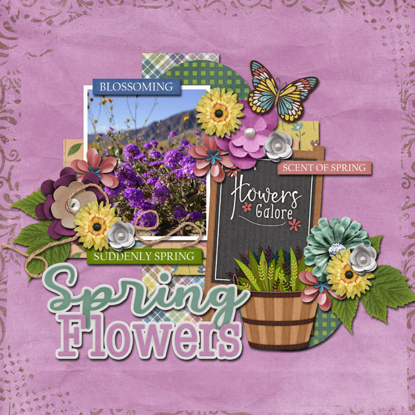 spring flowers
