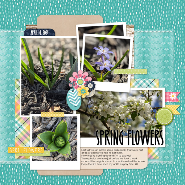 Spring Flowers