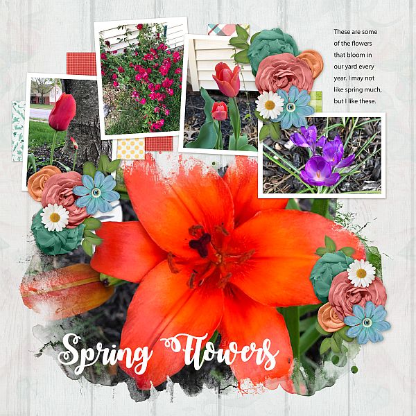 Spring Flowers
