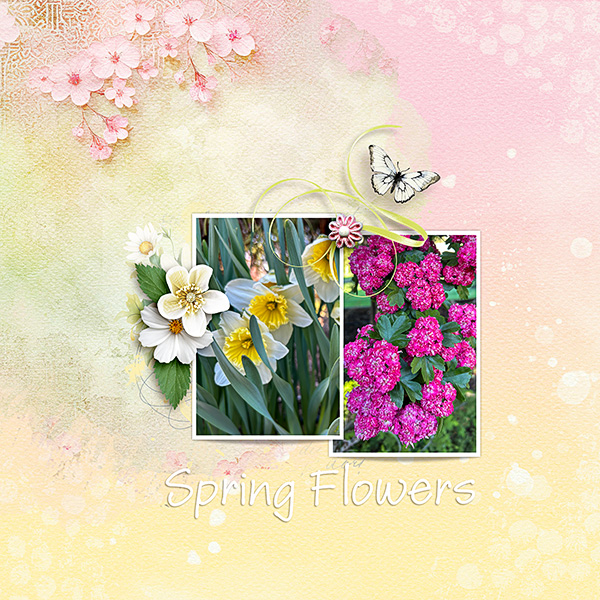 Spring-Flowers