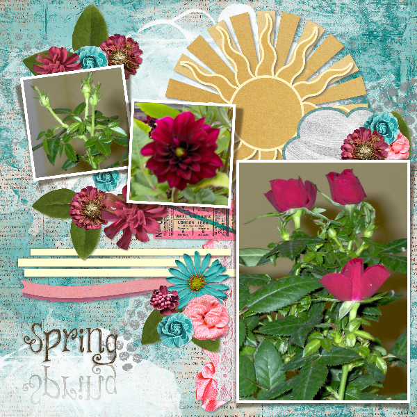spring flowers