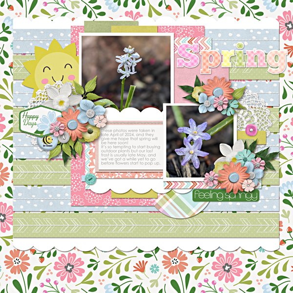 Spring flowers!