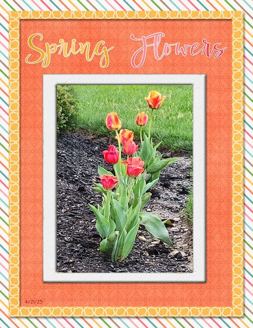 Spring-Flowers