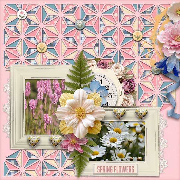 Spring Flowers