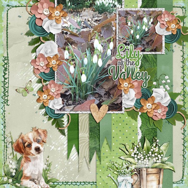 spring flowers