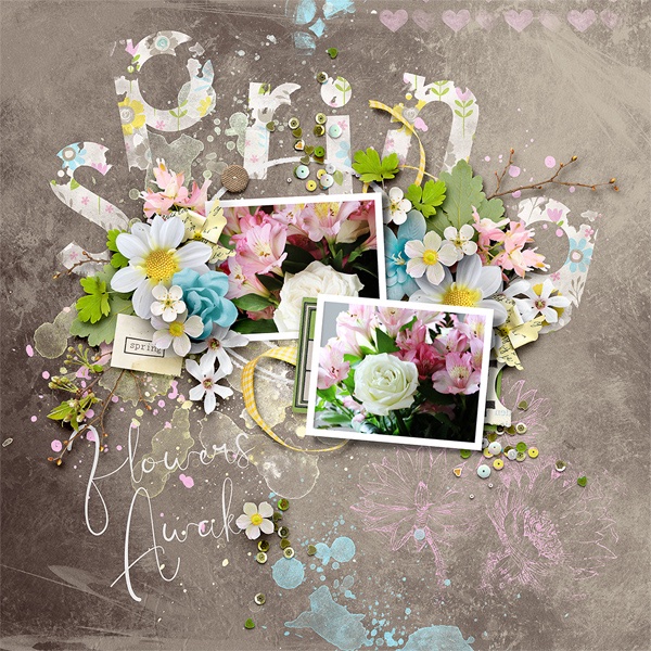 Spring Flowers
