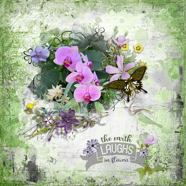 Spring Flowers