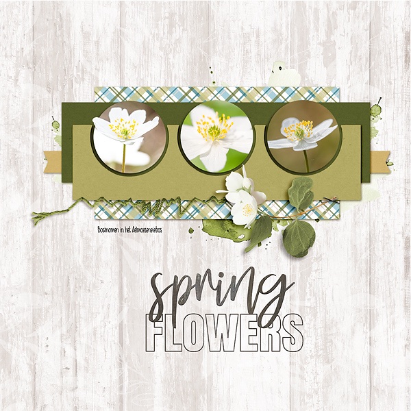 Spring Flowers