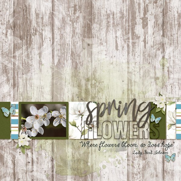Spring Flowers