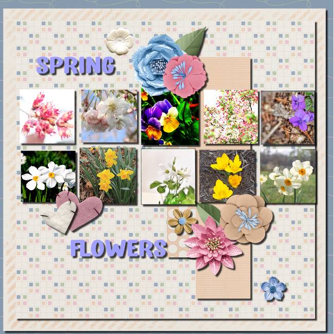 Spring Flowers