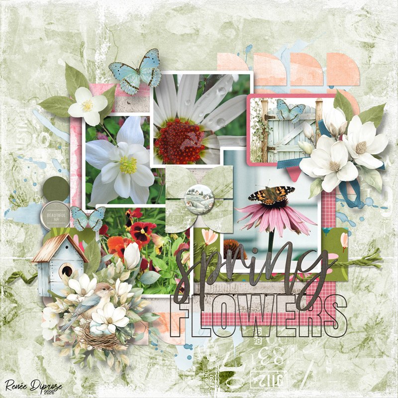 Spring Flowers